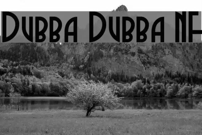 Dubba Dubba NF Font examples