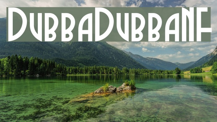 DubbaDubbaNF Example 2