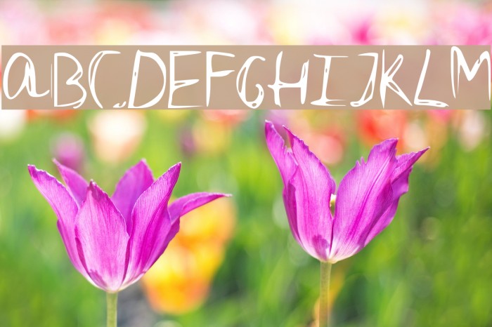 Dubble Font examples