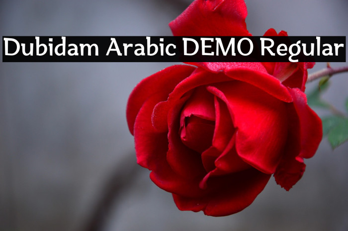 Dubidam Arabic DEMO Regular Example 1