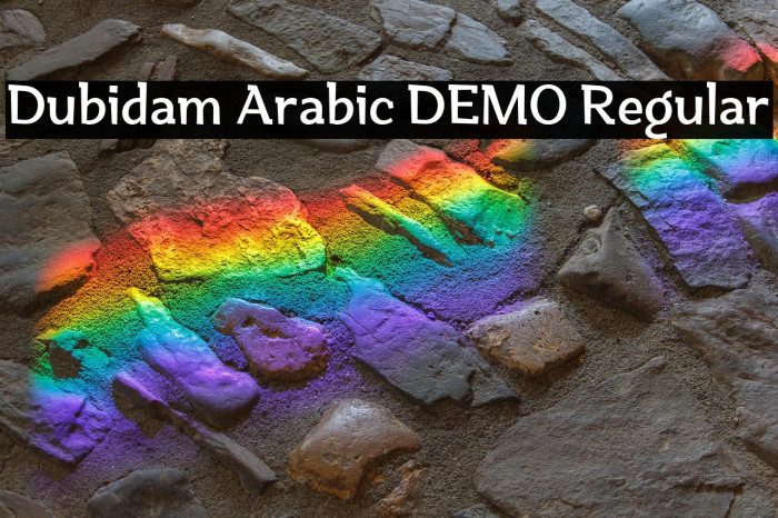 Dubidam Arabic DEMO Regular Example 2