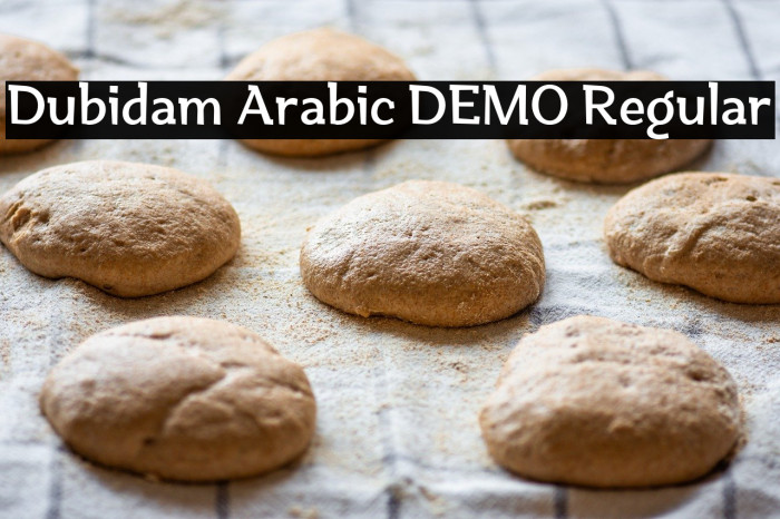 Dubidam Arabic DEMO Regular Example 3