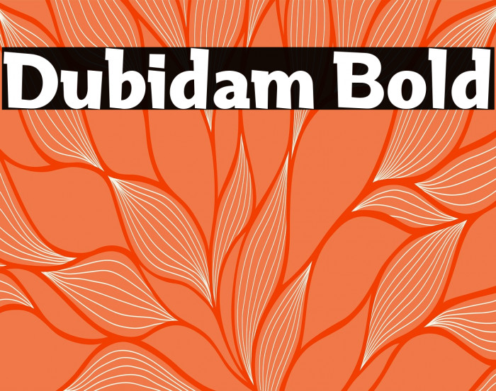 Dubidam Bold Example 1