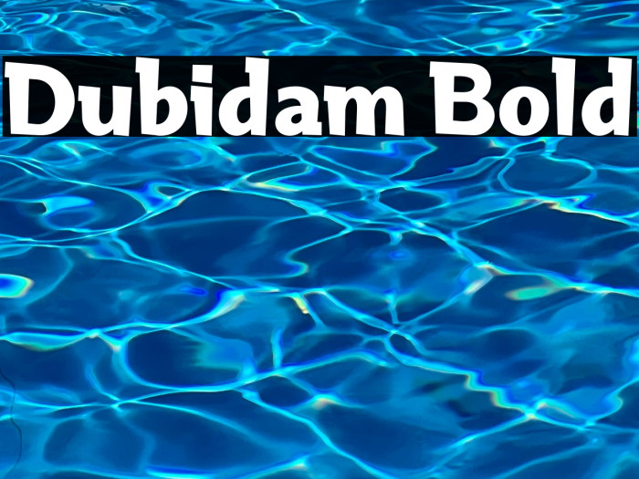 Dubidam Bold Example 2