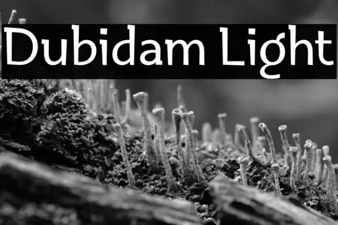 Dubidam Light خط examples