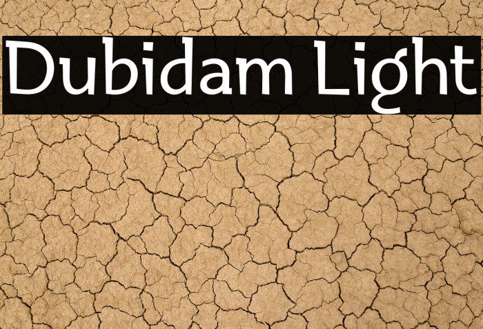 Dubidam Light Example 2