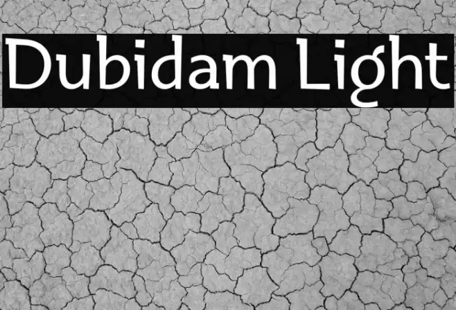 Dubidam Light خط examples