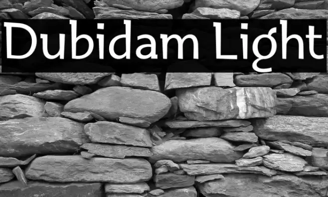 Dubidam Light خط examples