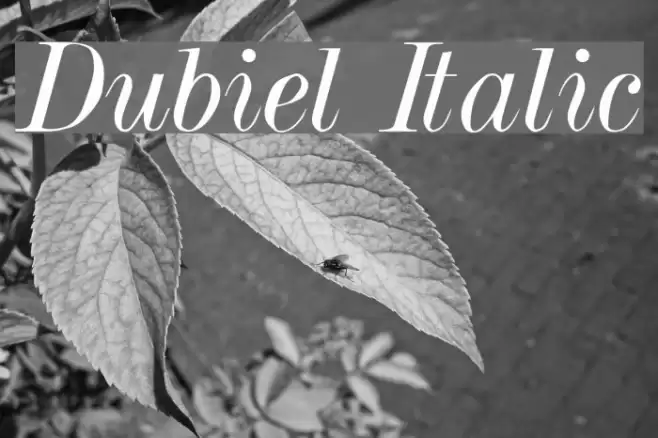 Dubiel Italic Fuentes examples