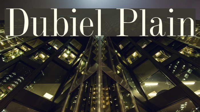 Dubiel Plain Font examples