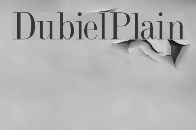 DubielPlain Example 1