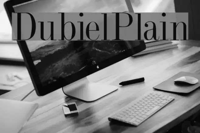 DubielPlain Example 2