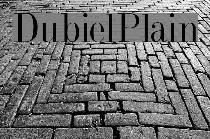 DubielPlain Font examples