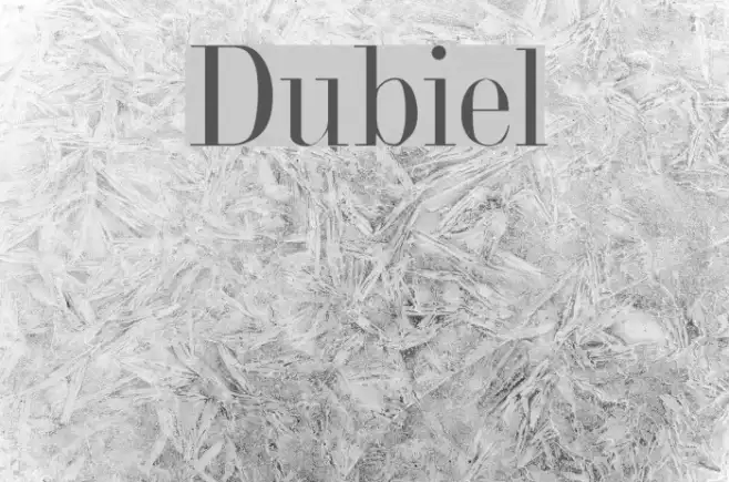 Dubiel Example 1