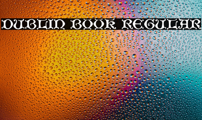 Dublin Book Regular Example 2