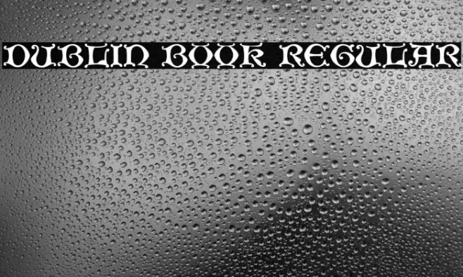 Dublin Book Regular Font examples