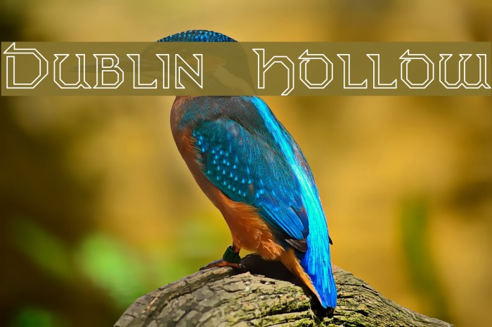 Dublin Hollow Font examples