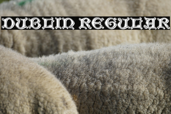 Dublin Regular Example 2