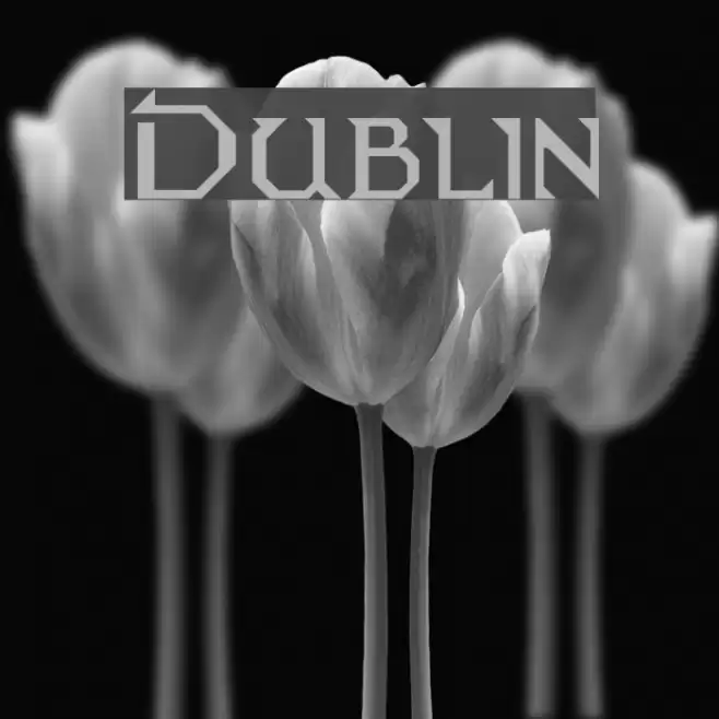 Dublin Font examples