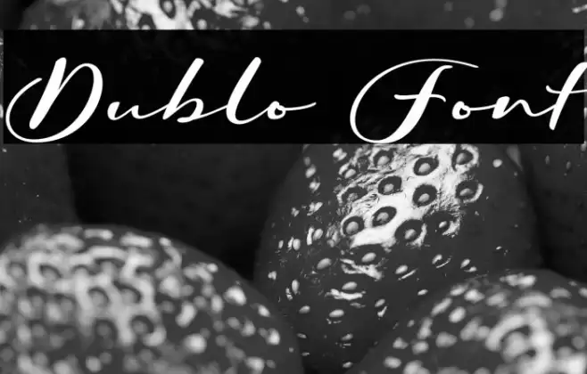 Dublo Example 1
