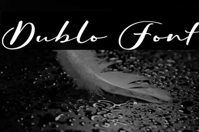 Dublo Example 2