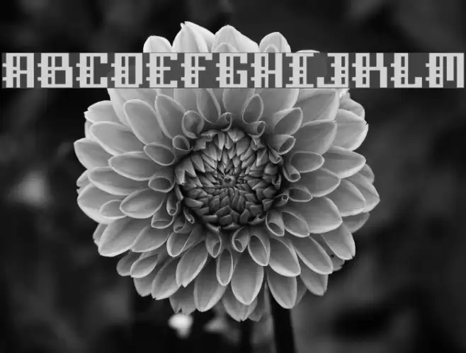 Dubstep Blackletter Font examples