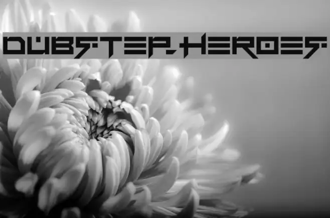 Dubstep heroes Example 1