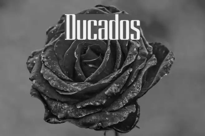 Ducados Font examples