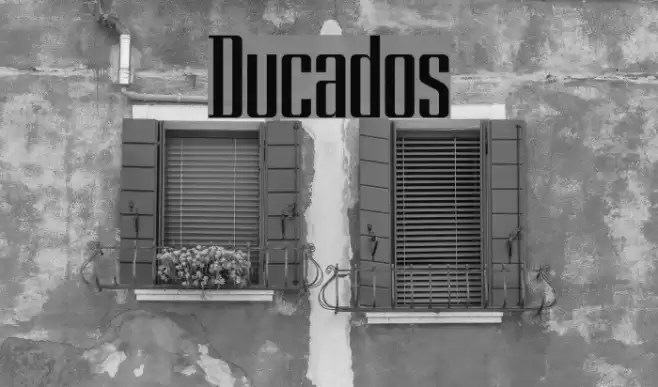 Ducados Font examples