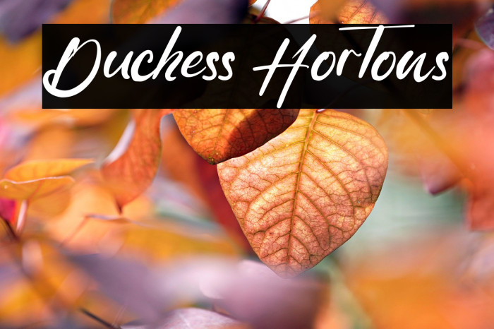 Duchess Hortons Example 2