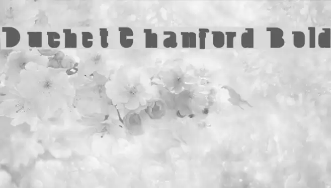Duchet Chanford Bold Font examples