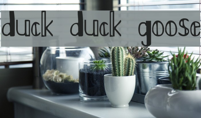 Duck Duck Goose Font examples
