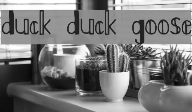 Duck Duck Goose Example 3