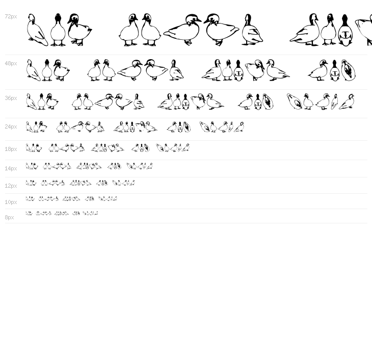 Duck Regular Waterfall