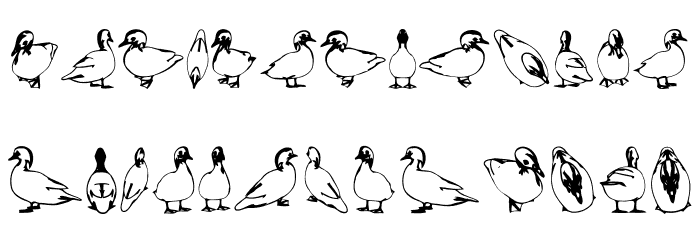 Duck Regular Font LOWERCASE