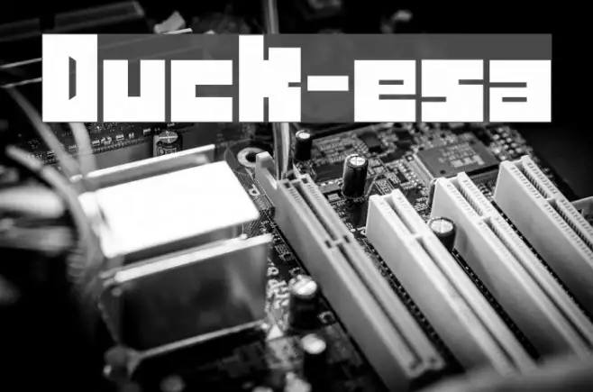 Duck-esa Example 1