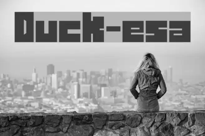 Duck-esa Example 2