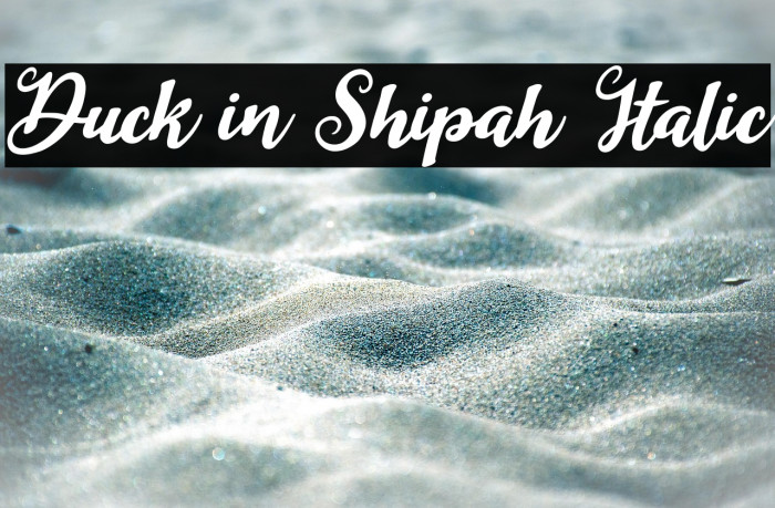 Duck in Shipah Italic Example 2