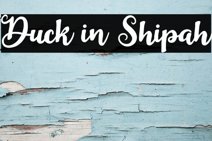 Duck in Shipah Font examples