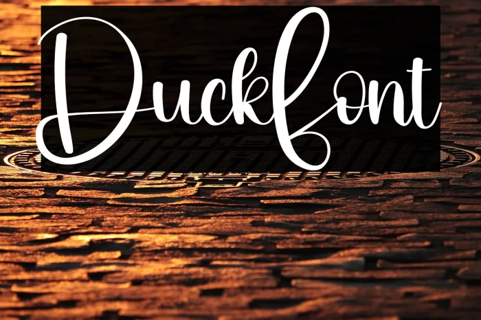 Duck Example 1