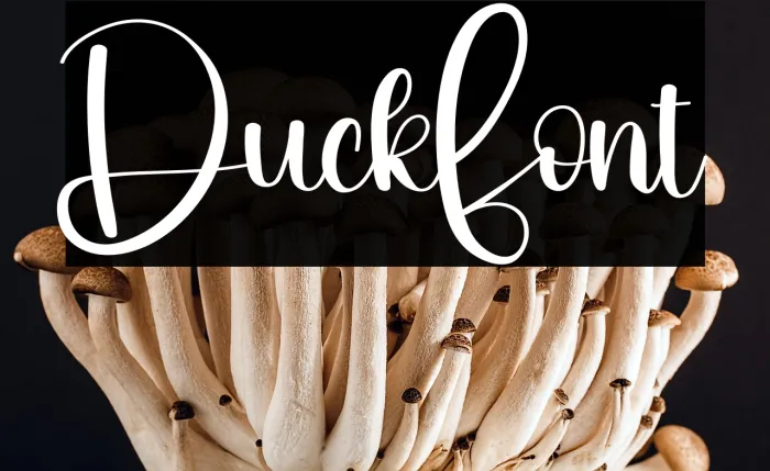 Duck Example 3