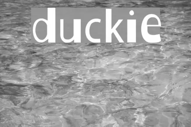 Duckie Example 1