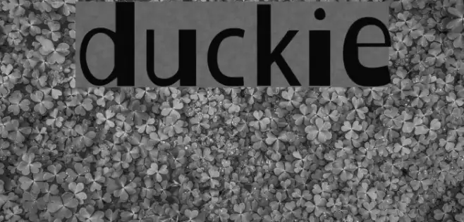 Duckie Example 2