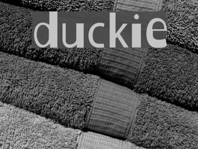 Duckie Example 3