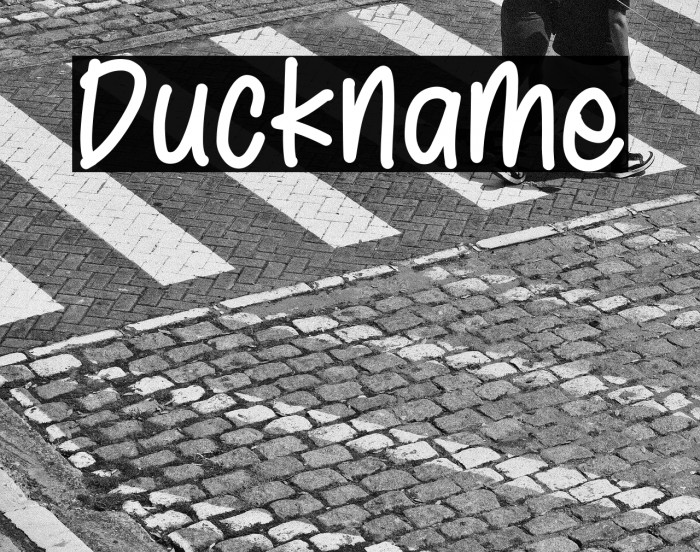 Duckname Example 1