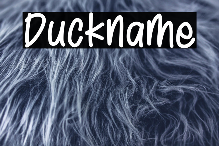 Duckname Example 2
