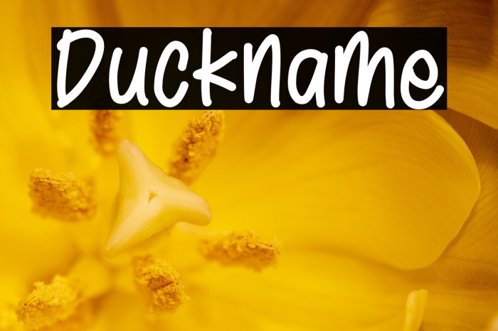 Duckname Example 3