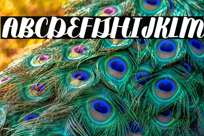 Duckpond-Regular Example 2