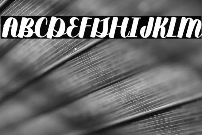 Duckpond Regular Font examples