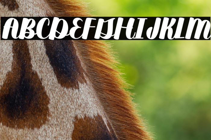 Duckpond Regular Example 2